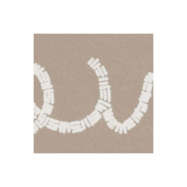 Papel pintado infantil de Jane Churchill Get Happy