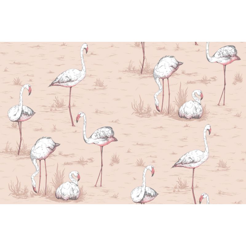 Papel pintado Flamingos