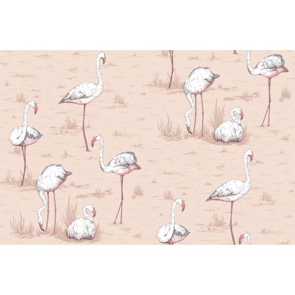 Papel pintado Flamingos