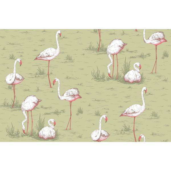 Papel pintado Flamingos