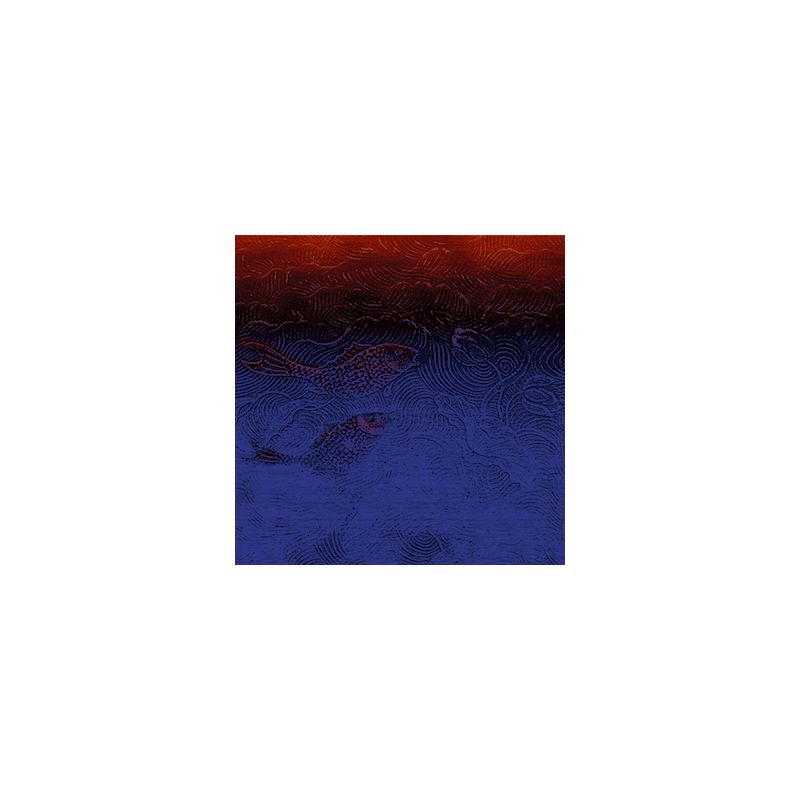 copy of