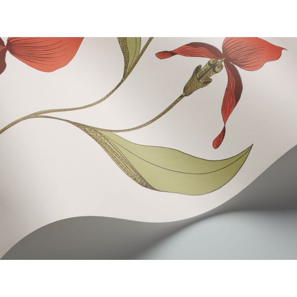 Papel pintado Orchid de Cole & Son