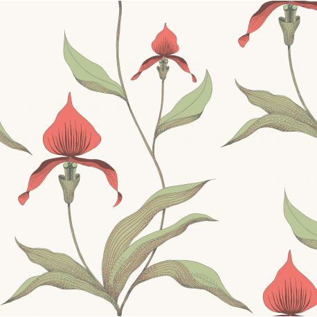 Papel pintado Orchid de Cole & Son