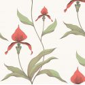 Papel pintado Orchid de Cole & Son