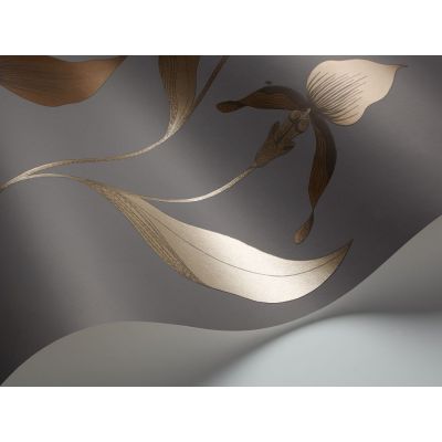 Papel pintado Orchid de Cole & Son 2