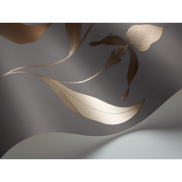 Papel pintado Orchid de Cole & Son