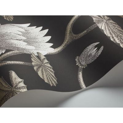 Papel pintado Summer Lily de Cole & Son 2