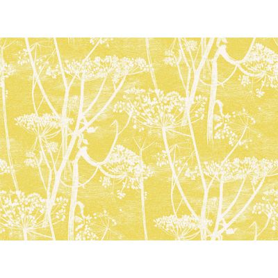 Papel pintado Cow Parsley de Cole & Son