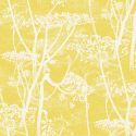 Papel pintado Cow Parsley de Cole & Son