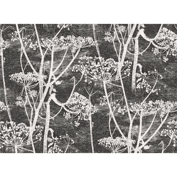 Papel pintado Cow Parsley de Cole & Son